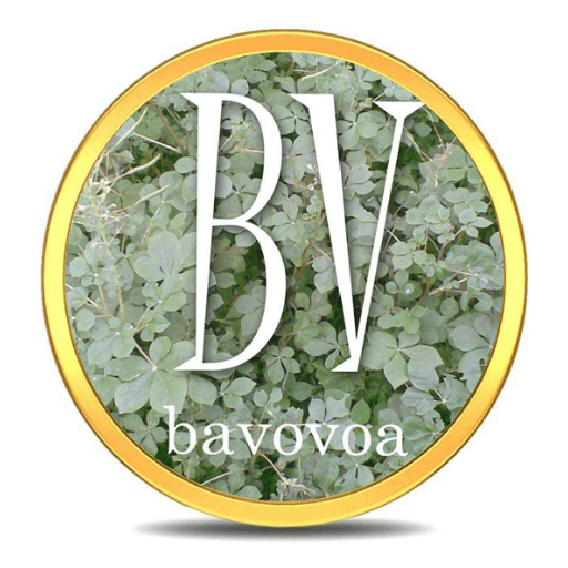 Bavovoa Pulsa icon
